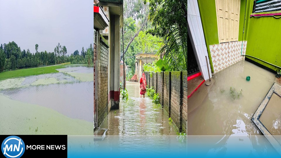 Due to continuous rain, various areas of Sharsha were flooded, Aman fields were submerged