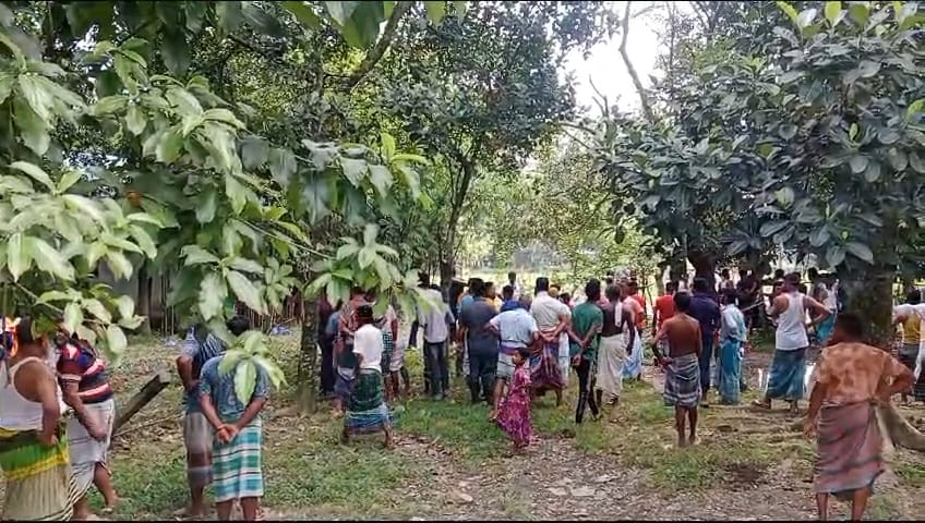 4 injured including two women in cocktail explosion in Sreepur