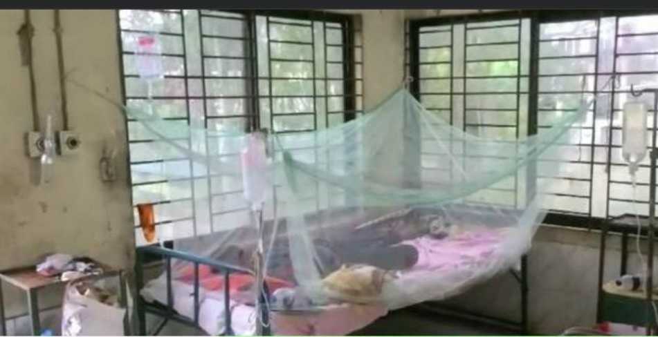 টাঙ্গাইলে আরও ২৪ ঘন্টায় নতুন ২১ জন ডেঙ্গু জ্বরের রোগী শনাক্ত