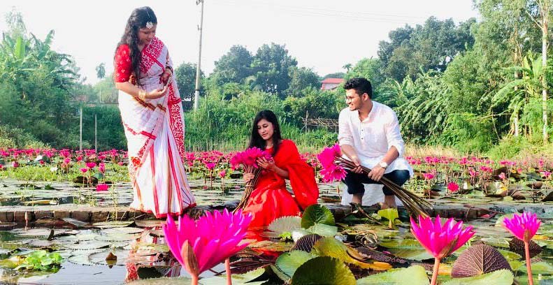 In Tangail's Basail, red saffron is spreading fascination, enthralling nature lovers