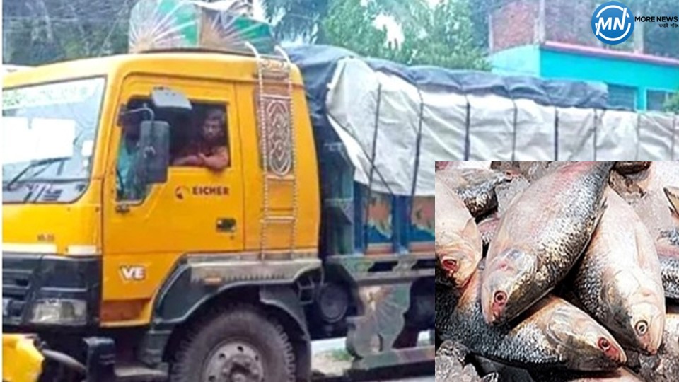 5 lakh 32 thousand kg of hilsa exported to India on the occasion of Durga Puja