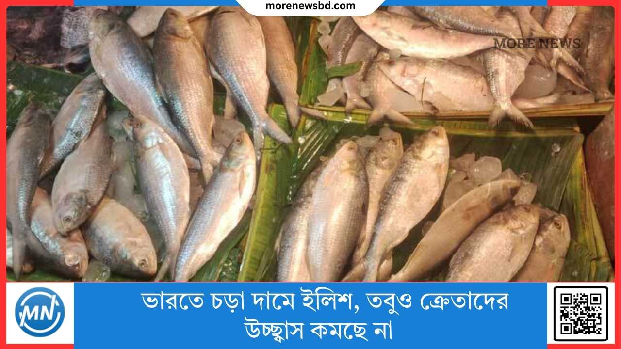 ভারতে চড়া দামে ইলিশ, তবুও ক্রেতাদের উচ্ছ্বাস কমছে না