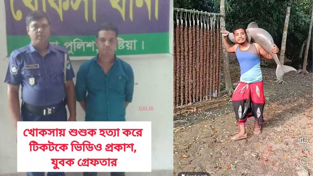 খোকসায় শুশুক হত্যা করে টিকটকে ভিডিও প্রকাশ, যুবক গ্রেফতার