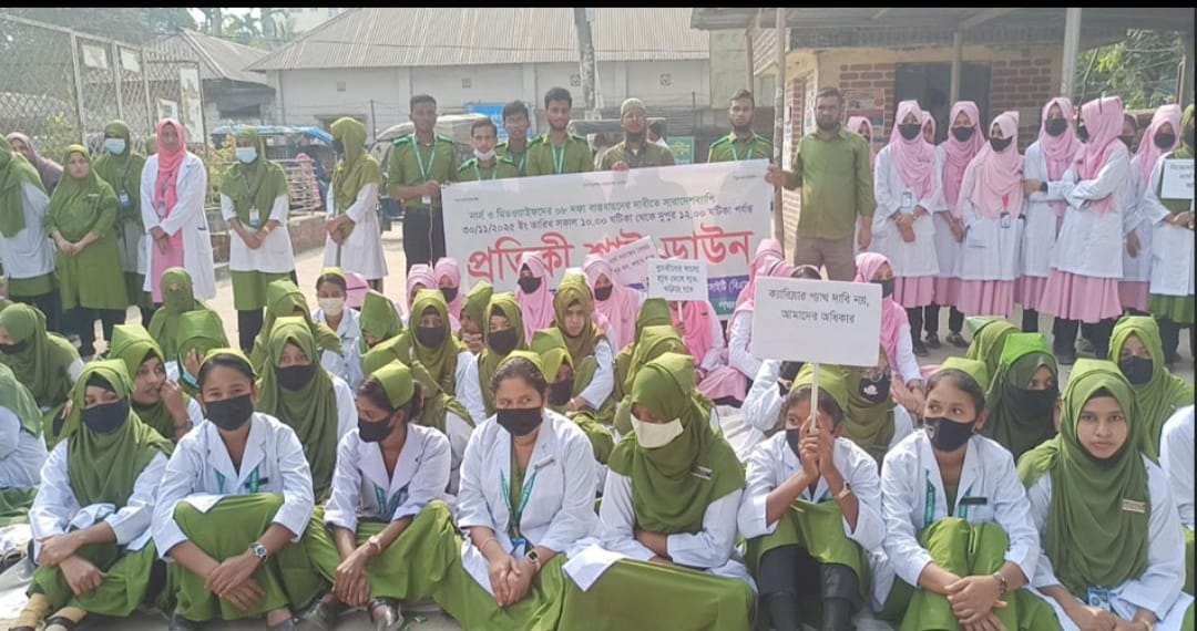 Nurses and midwives hold symbolic shutdown in Panchagarh over 8-point demands
