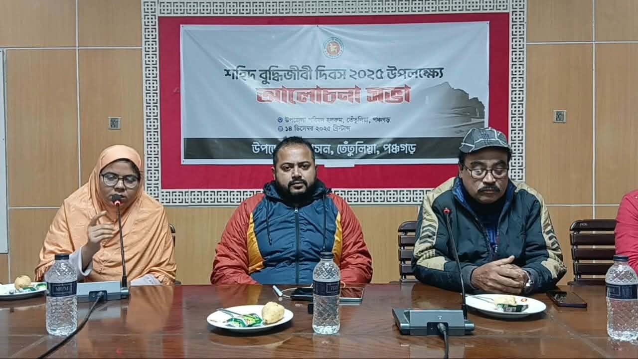 Discussion meeting on the occasion of Tetulia Martyred Intellectuals Day with due dignity