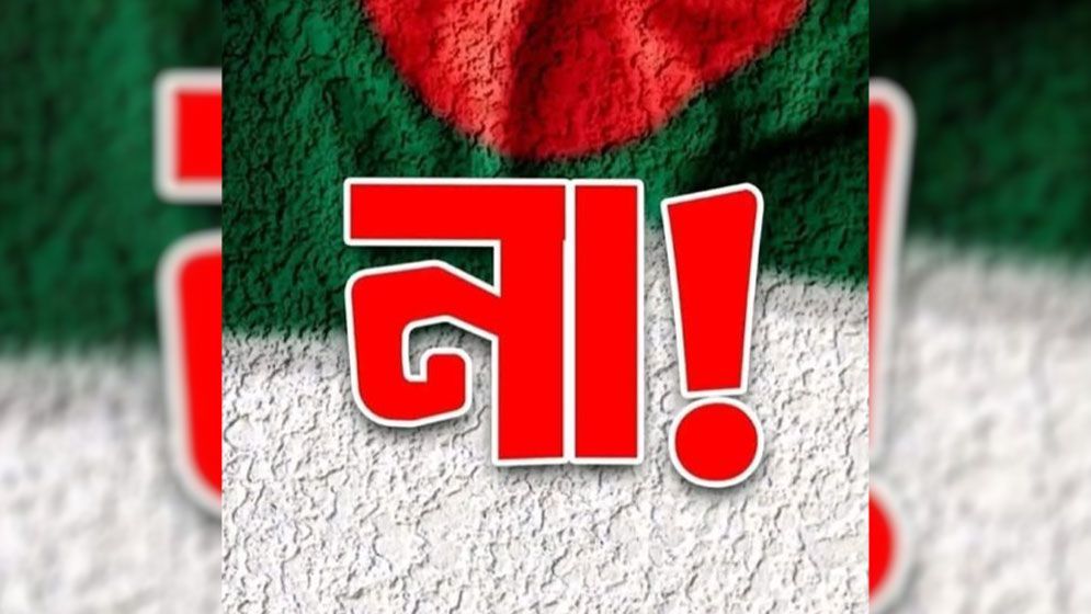 গণভোটে চার আসনে ‘না’ জয়ী