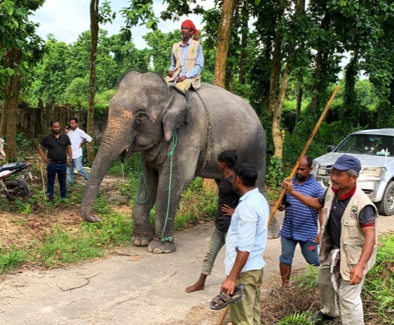 সাফারি পার্কে দুই হাতির মৃত্যু, এরপরই &lsquo;সম্রাট-নিহারকলি&rsquo;কে ফেরত